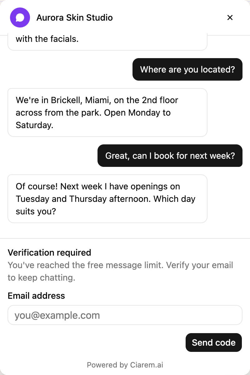 The website chat bubble asking the visitor to verify by email or WhatsApp to keep chatting